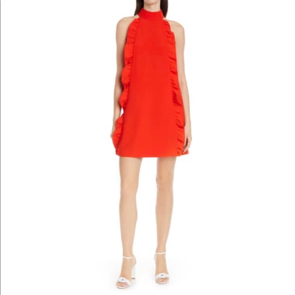 Ted Baker London Torriya Ruffle Tunic Dress